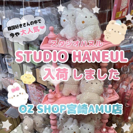 スタジオハヌル商品がテレビ宮崎「キニナル！」で紹介されました
